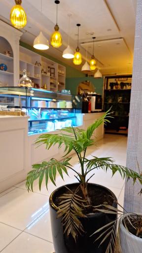 عکس کافه سدنا