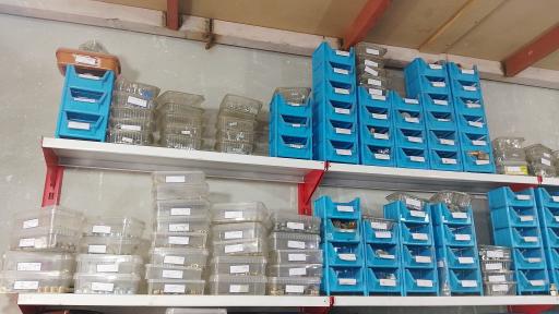 عکس پرس شیلنگ محمد رضانیا