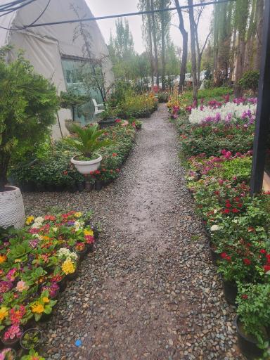 عکس گلخانه سروناز