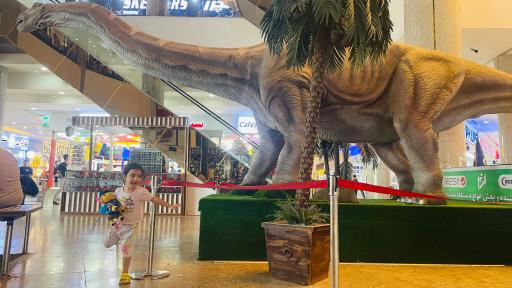 سیتی سنتر قشم 2