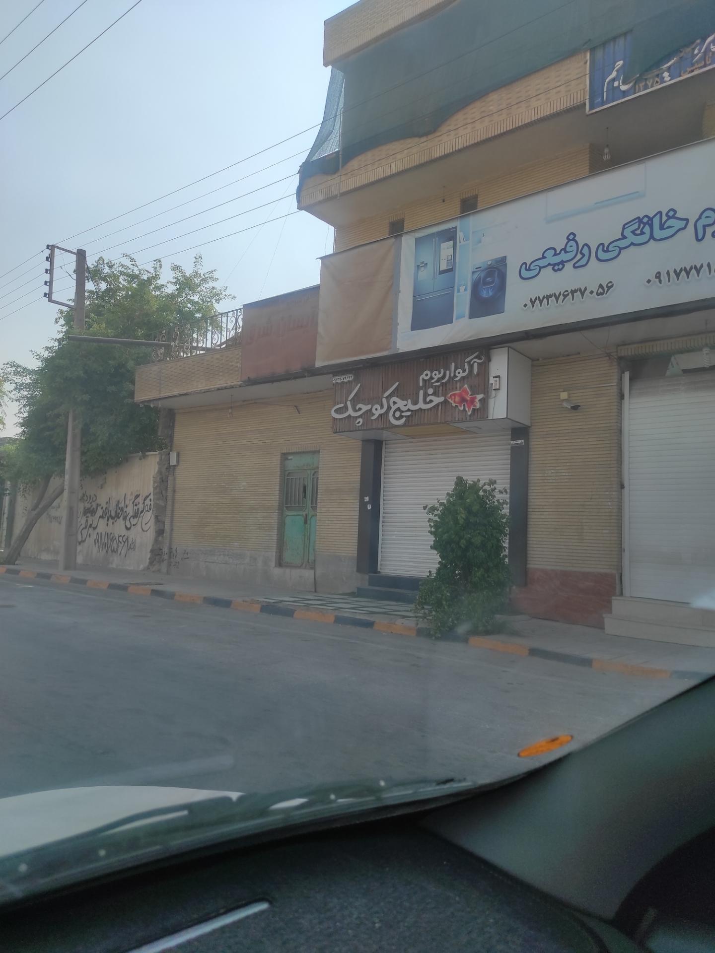 عکس آکواریوم خلیج کوچک