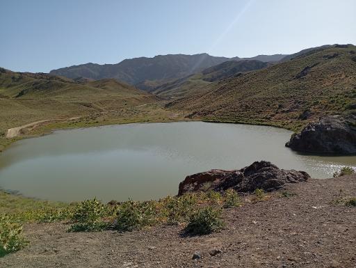 عکس باخرز