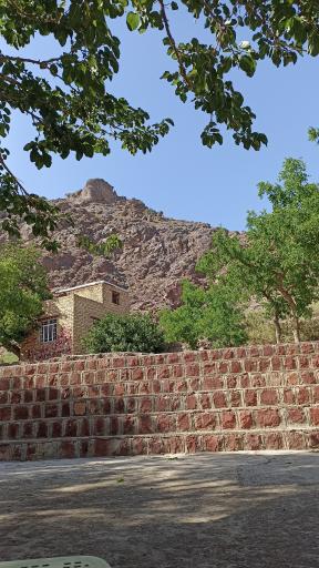 عکس باخرز