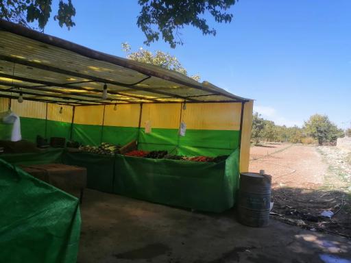 عکس سبزی فروشی محله 