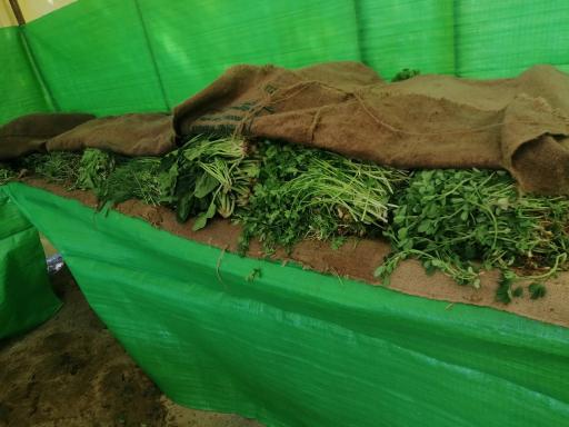 عکس سبزی فروشی محله 