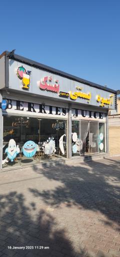 عکس آبمیوه بستنی تمشک