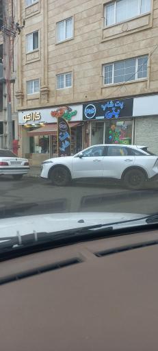 عکس پت شاپ پتی