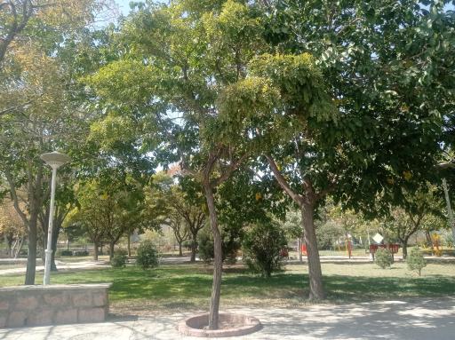 عکس بوستان پگاه