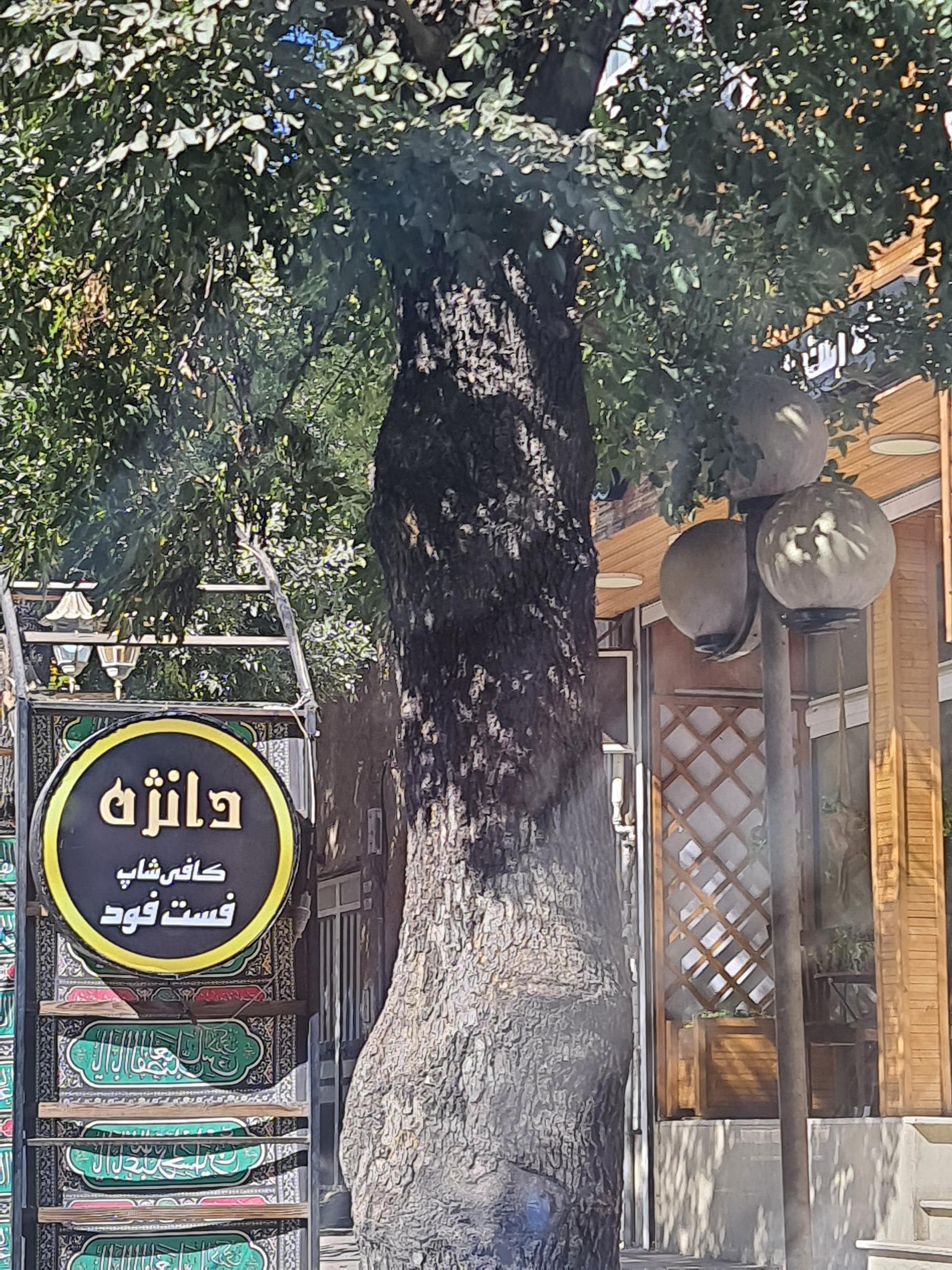 عکس کافه رستوران دانژه 