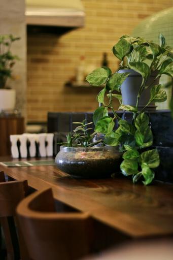 عکس کافه لیتل ایتالی