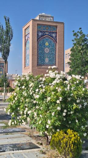 عکس قبرستان بهشت فاطمه