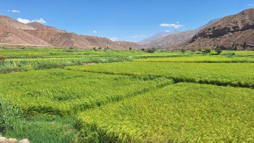 عکس قنات شینقر