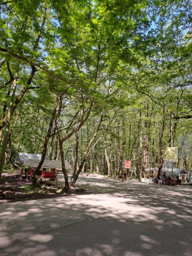 عکس کافه سنتی رزسفید