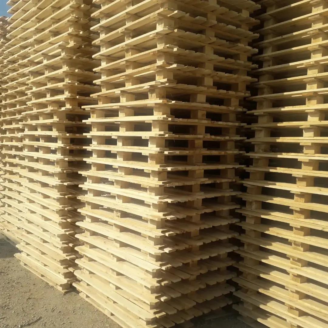 عکس پالت سازی سعیدی