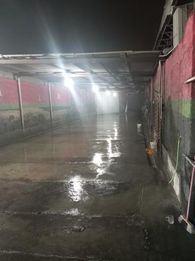 عکس نانو کارواش نور