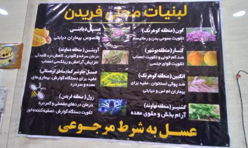 عکس لبنیات محلی فریدن