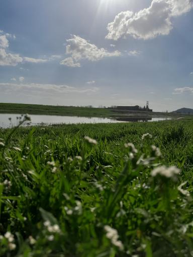 عکس شاهرخ آباد