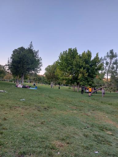 عکس بوستان کیو