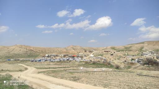 عکس گل بلاغ