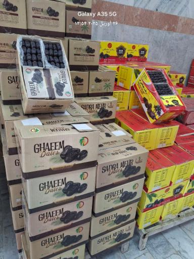 عکس خرما و رطب کلندرزهی ونهتانی