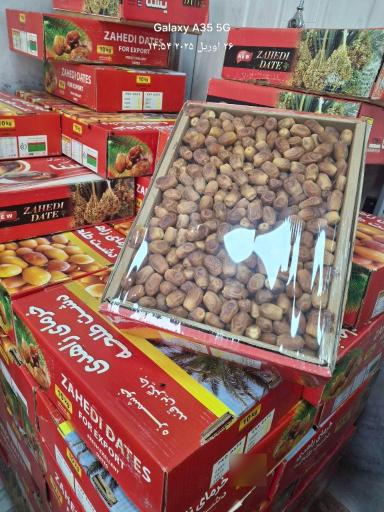 عکس خرما و رطب کلندرزهی ونهتانی