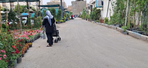 عکس بازار گل و گیاه و ملزومات شادمان