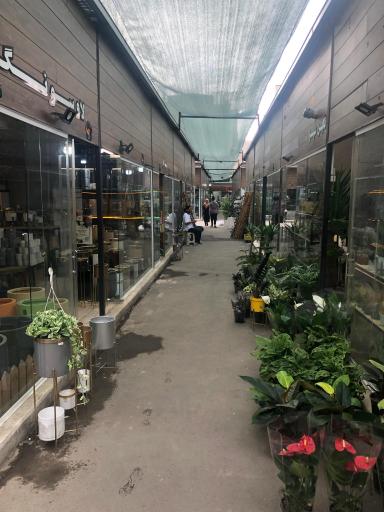 عکس بازار گل و گیاه و ملزومات شادمان