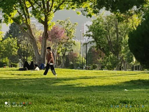 عکس بوستان کیو