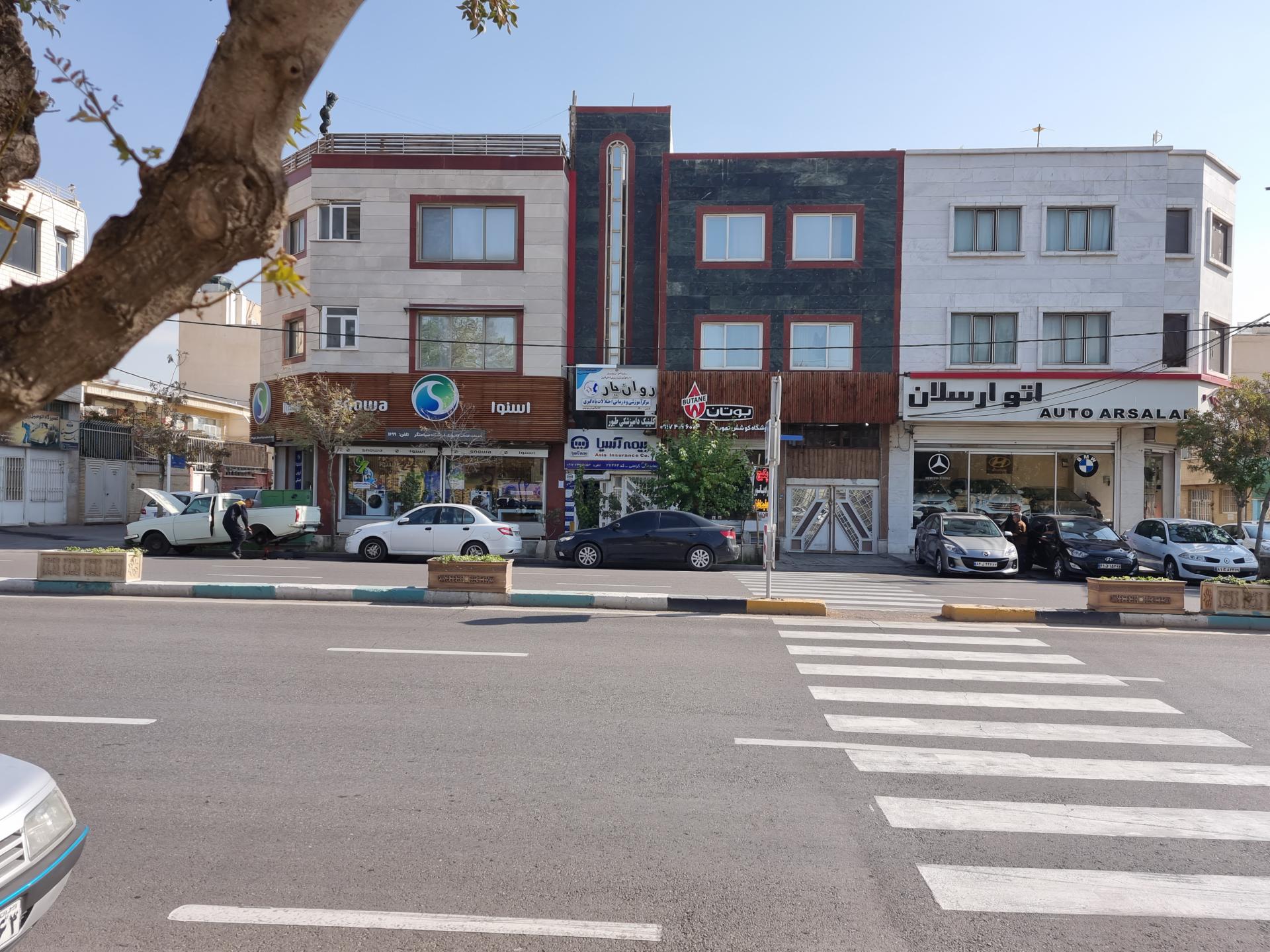 عکس کلینیک دامپزشکی پرندگان زینتی دکتر پذیرش