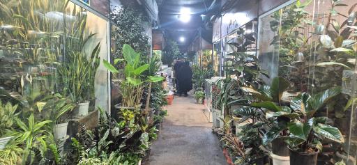 عکس بازار گل و گیاه و ملزومات شادمان