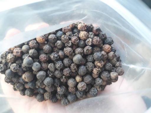 عکس بازرگانی جهانبخش