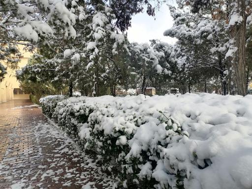 عکس دانشگاه شهید باهنر