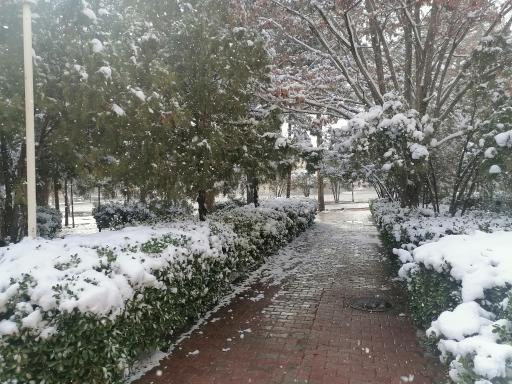 عکس دانشگاه شهید باهنر