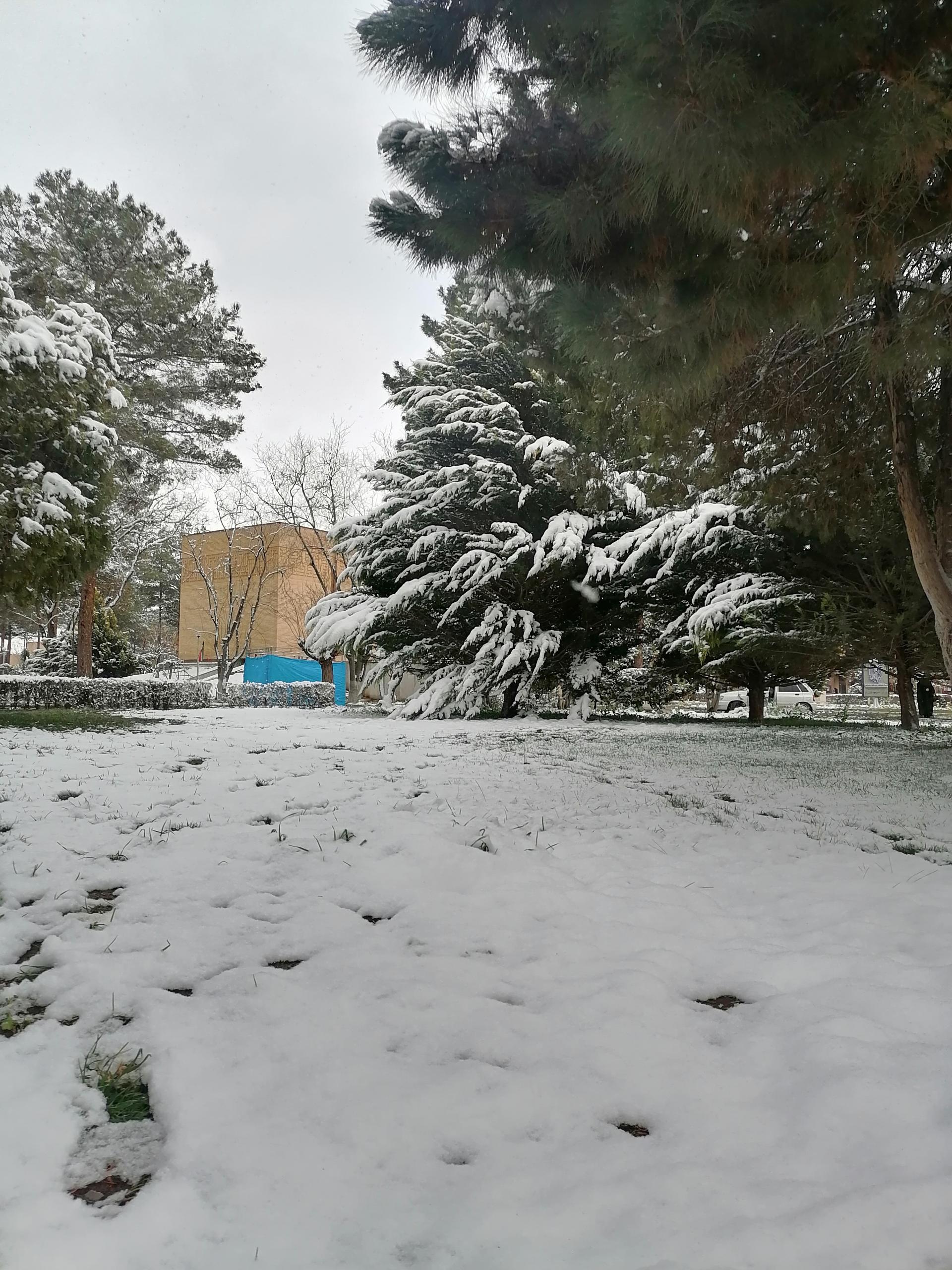 عکس دانشگاه شهید باهنر