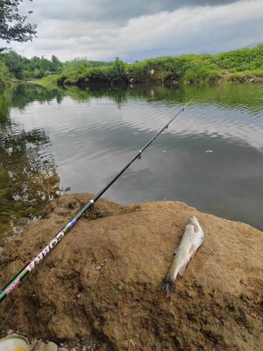 عکس ایستگاه ماهیگیری خلیفه محله