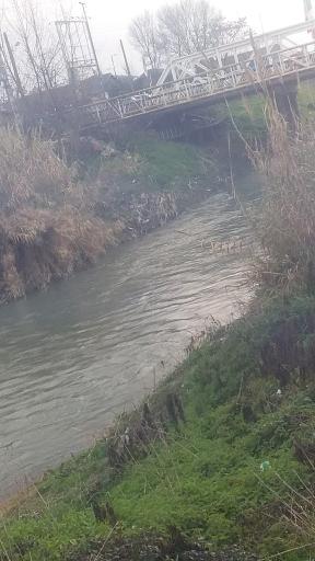 عکس ایستگاه ماهیگیری خلیفه محله