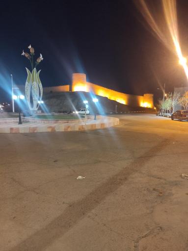 عکس ارگ ساسانی انار