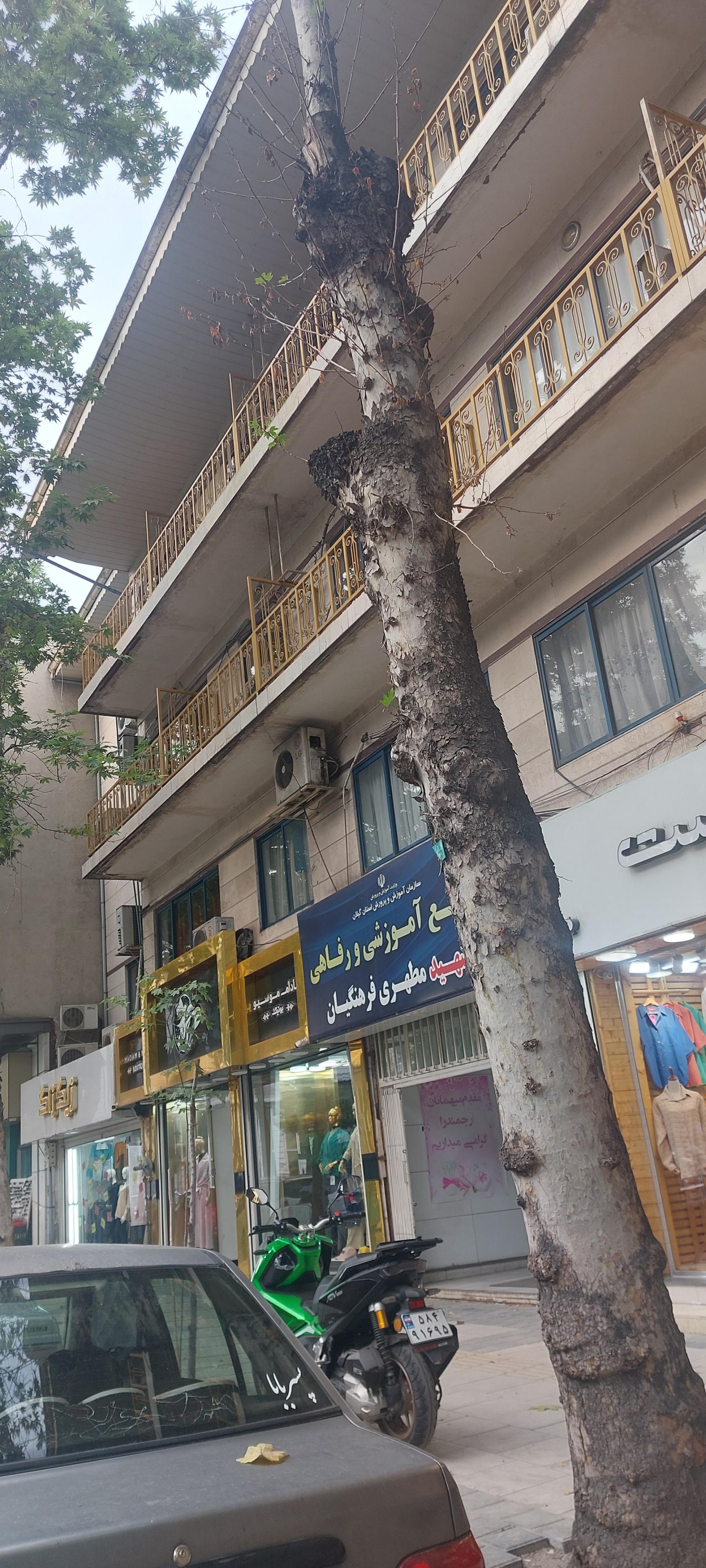 عکس مجتمع آموزشی و رفاهی فرهنگیان خانه معلم