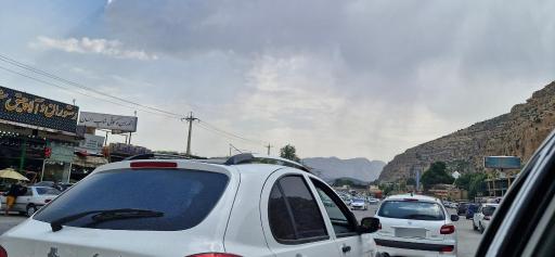 عکس دشت ارژن