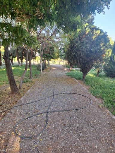 عکس دانشگاه شهید باهنر