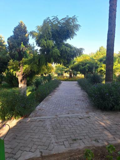 عکس دانشگاه شهید باهنر