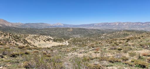 عکس دشت ارژن