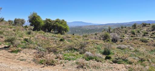 عکس دشت ارژن