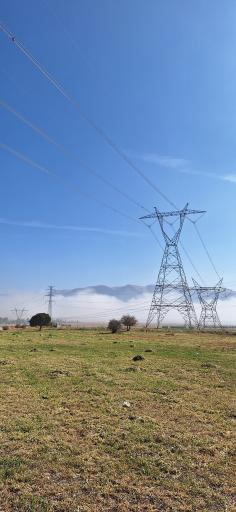 عکس دشت ارژن