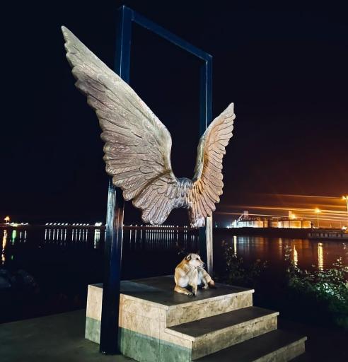 عکس بوستان ساحلی شهدای گمنام