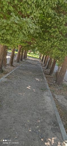 عکس دانشگاه شهید باهنر