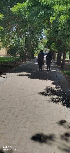 عکس دانشگاه شهید باهنر