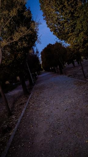 عکس دانشگاه شهید باهنر