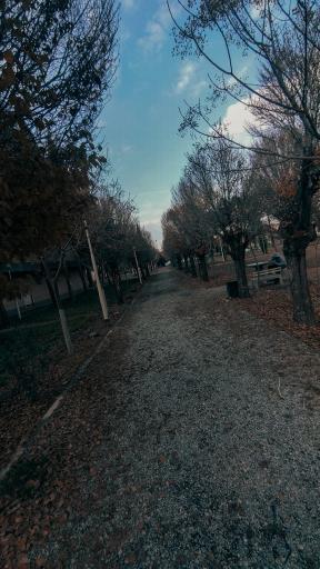 عکس دانشگاه شهید باهنر