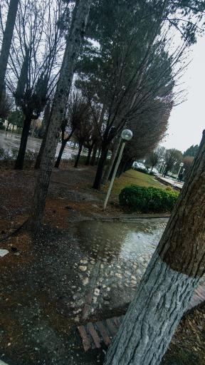 عکس دانشگاه شهید باهنر